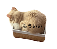 838782535