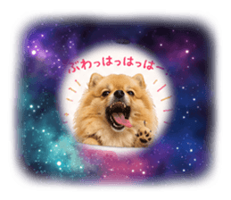838783011