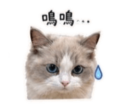 838784766