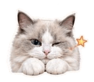 838784769