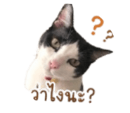 838785940