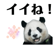 838786957