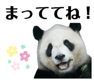 838786964