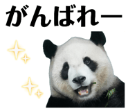 838786965