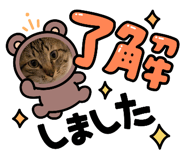 838787599