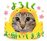838787600