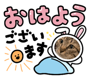 838787603
