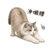 838788280