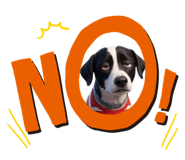 838790589
