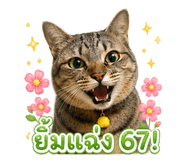838791194