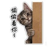838791855