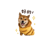 838792276