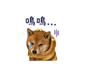 838792277
