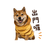 838792279