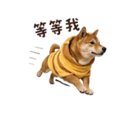 838792280