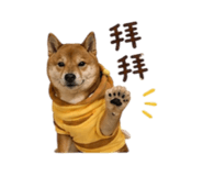 838792281