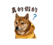 838792283