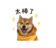 838792284