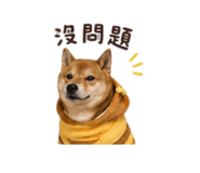 838792285