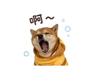 838792287