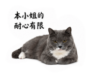 838792543