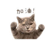 838794542