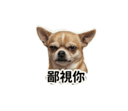 838796732