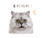 838797754