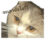 838798139