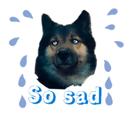 838798951