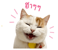 838799095