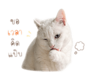 838800303