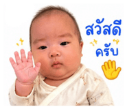 838800393