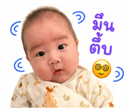 838800404