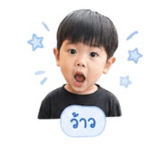 838800913