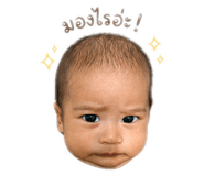 838803637