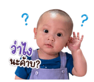 838804976
