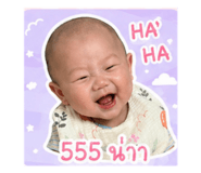 838805025