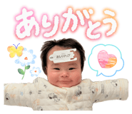 838805409