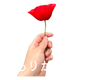 838805579