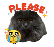 838806083