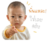 838806211