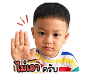 838806231