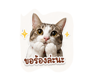 838806237