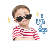 838806293