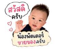 838806549