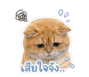 838806615