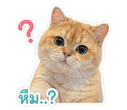 838806617