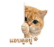 838806621