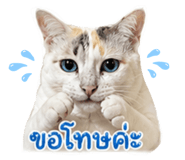 838806633